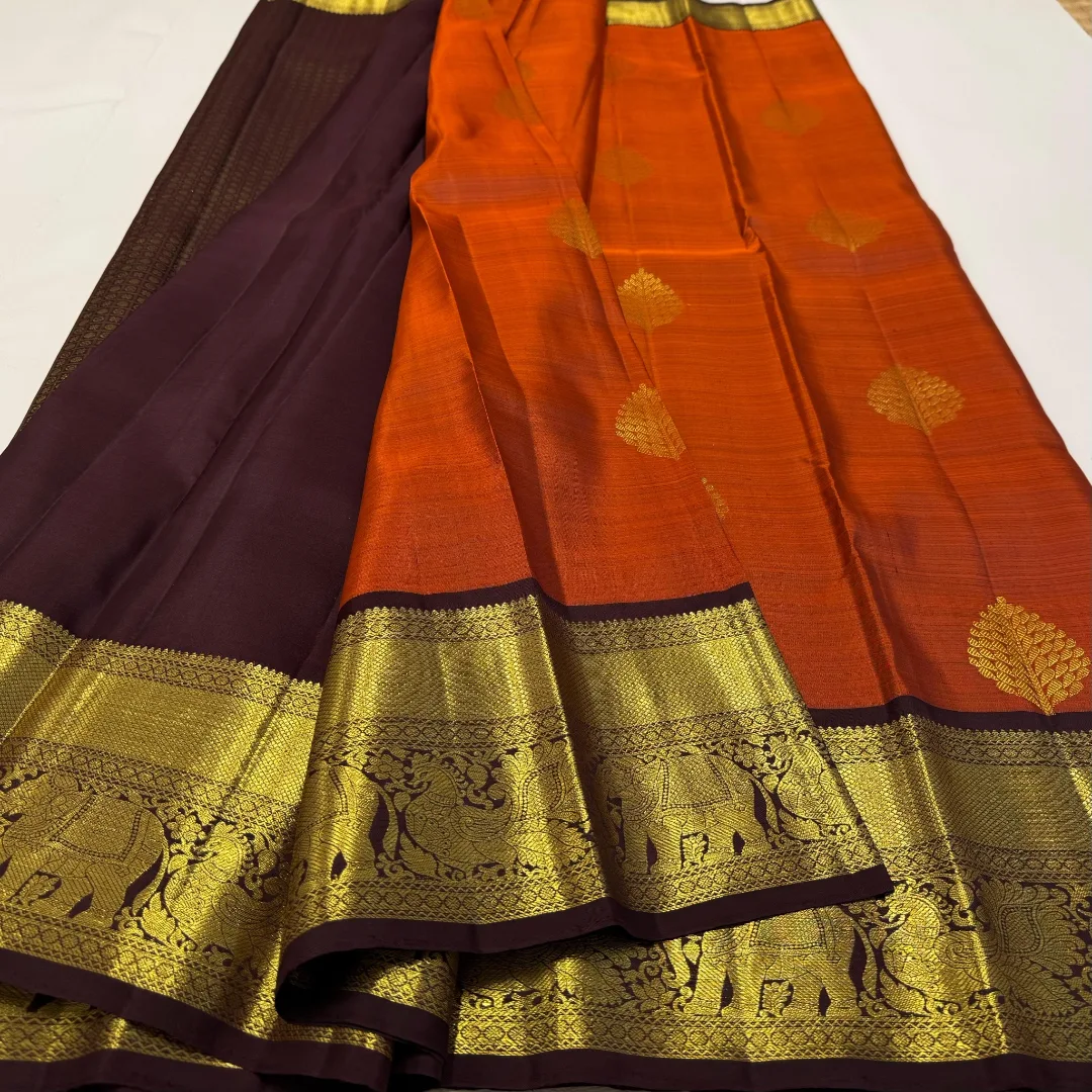 Trending Sarees Collection